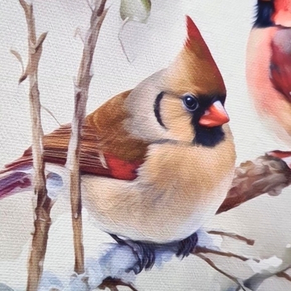 Northern Red Cardinal with Female Love Birds Hanging‎ Canvas Watercolor - Picture 3 of 7